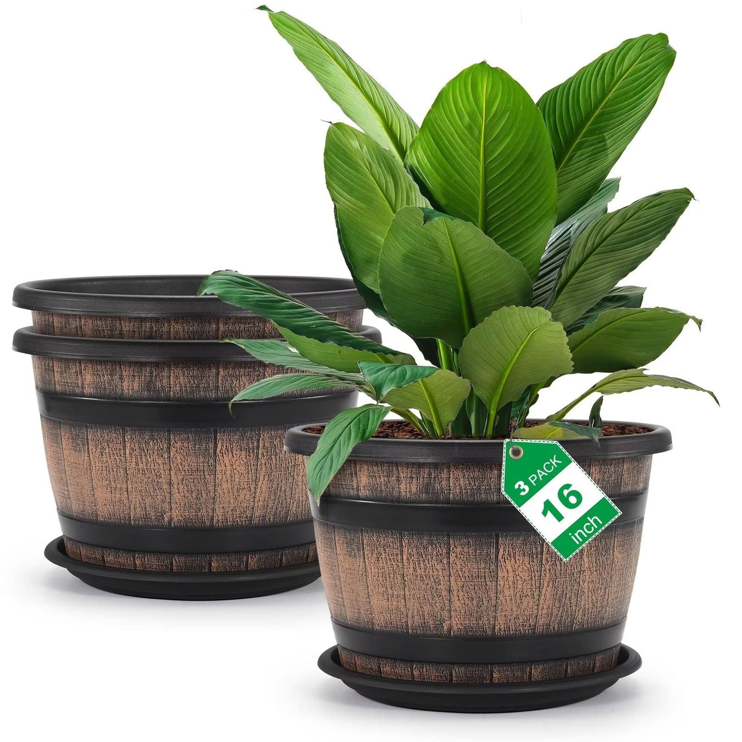 Quarut Plant Pots Set