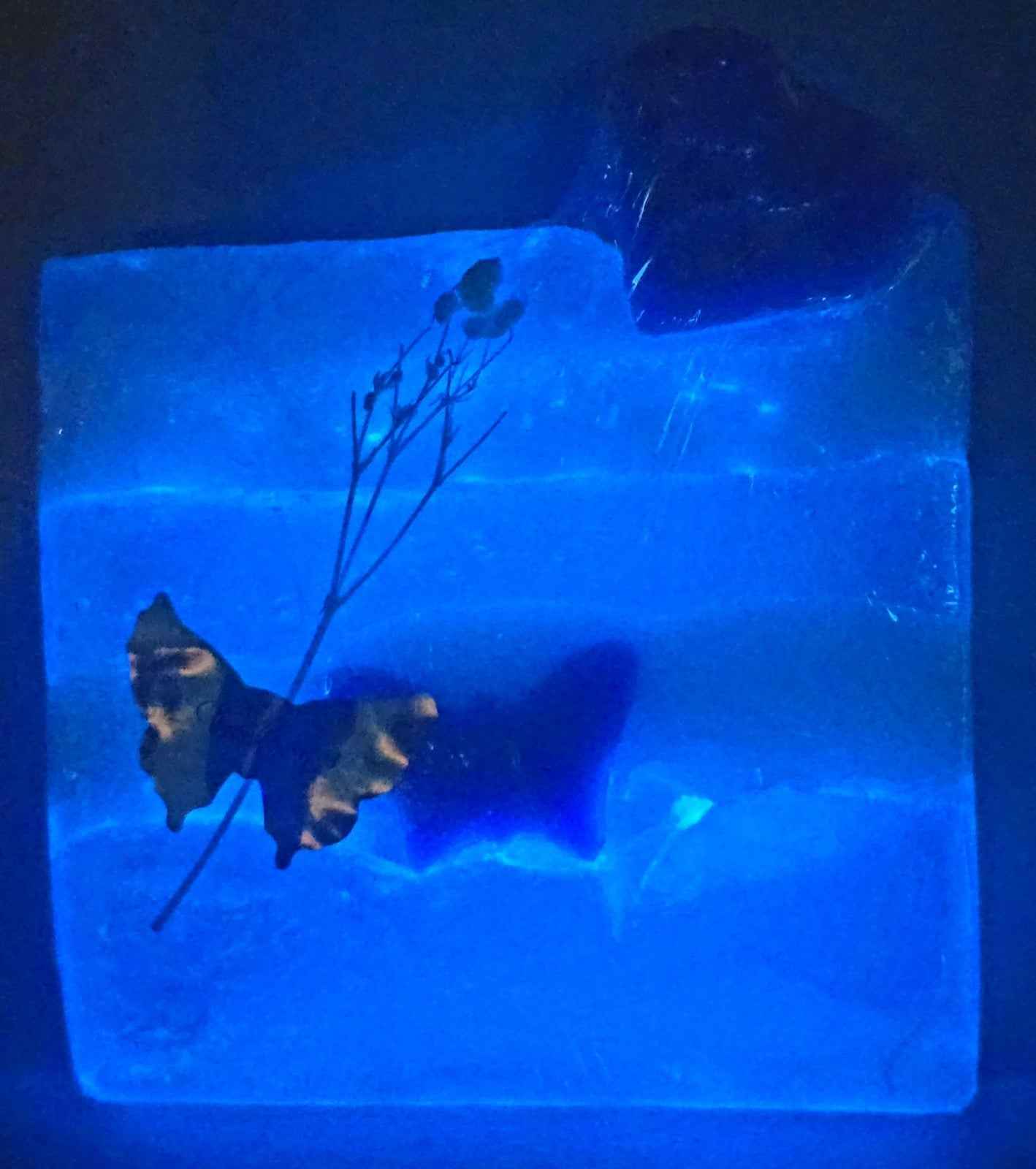 Butterfly Bliss Glow in the Dark Soap | Handmade Artisan Bar | Unscented | Decor