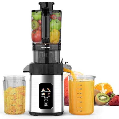 Electactic Slow Juicer Machine with 300W Pure Copper Motor