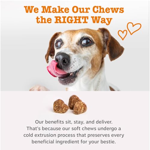 Zesty Paws Dog Allergy Relief- Dog Itching Skin Relief- Dog Probiotics for Itchy Skin and Itchy Ears- Dog Allergy Paw Relief- Dog Allergy Chews- Dog Itch Relief - Dog Skin Allergy Relief