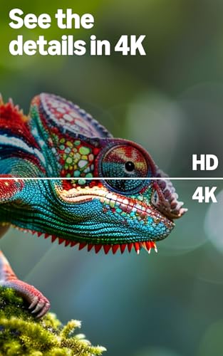 Amazon Ember 43" 4-Series with Fire TV (newest model), 4K Ultra HD smart TV with Alexa Remote, HDR10+, fast processor, Dolby Audio, Ambient Experience, free and live TV, find shows faster with Alexa+