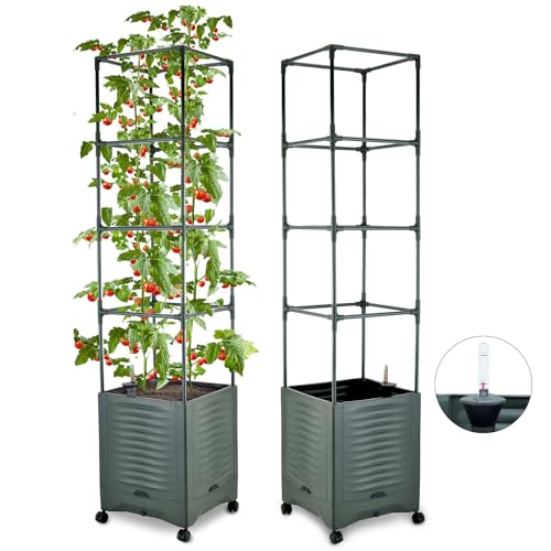 TeCreatio Large Tomato Planter