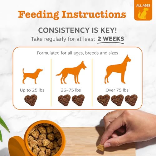 Zesty Paws Dog Allergy Relief- Dog Itching Skin Relief- Dog Probiotics for Itchy Skin and Itchy Ears- Dog Allergy Paw Relief- Dog Allergy Chews- Dog Itch Relief - Dog Skin Allergy Relief