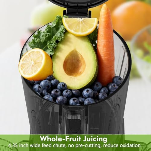 Electactic Slow Juicer Machine with 300W Pure Copper Motor
