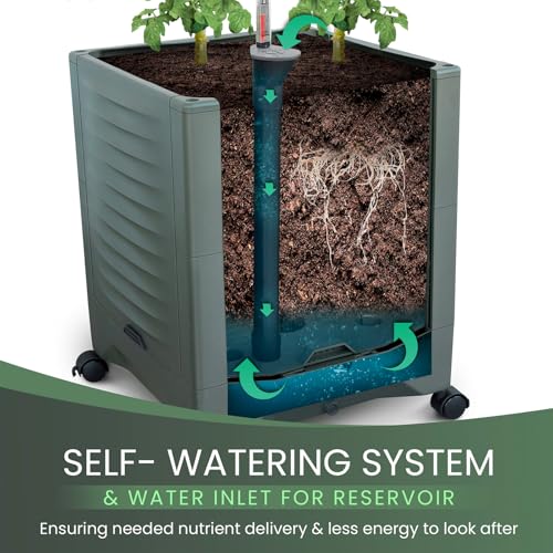TeCreatio Large Tomato Planter