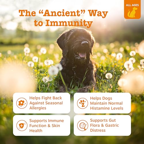 Zesty Paws Dog Allergy Relief- Dog Itching Skin Relief- Dog Probiotics for Itchy Skin and Itchy Ears- Dog Allergy Paw Relief- Dog Allergy Chews- Dog Itch Relief - Dog Skin Allergy Relief