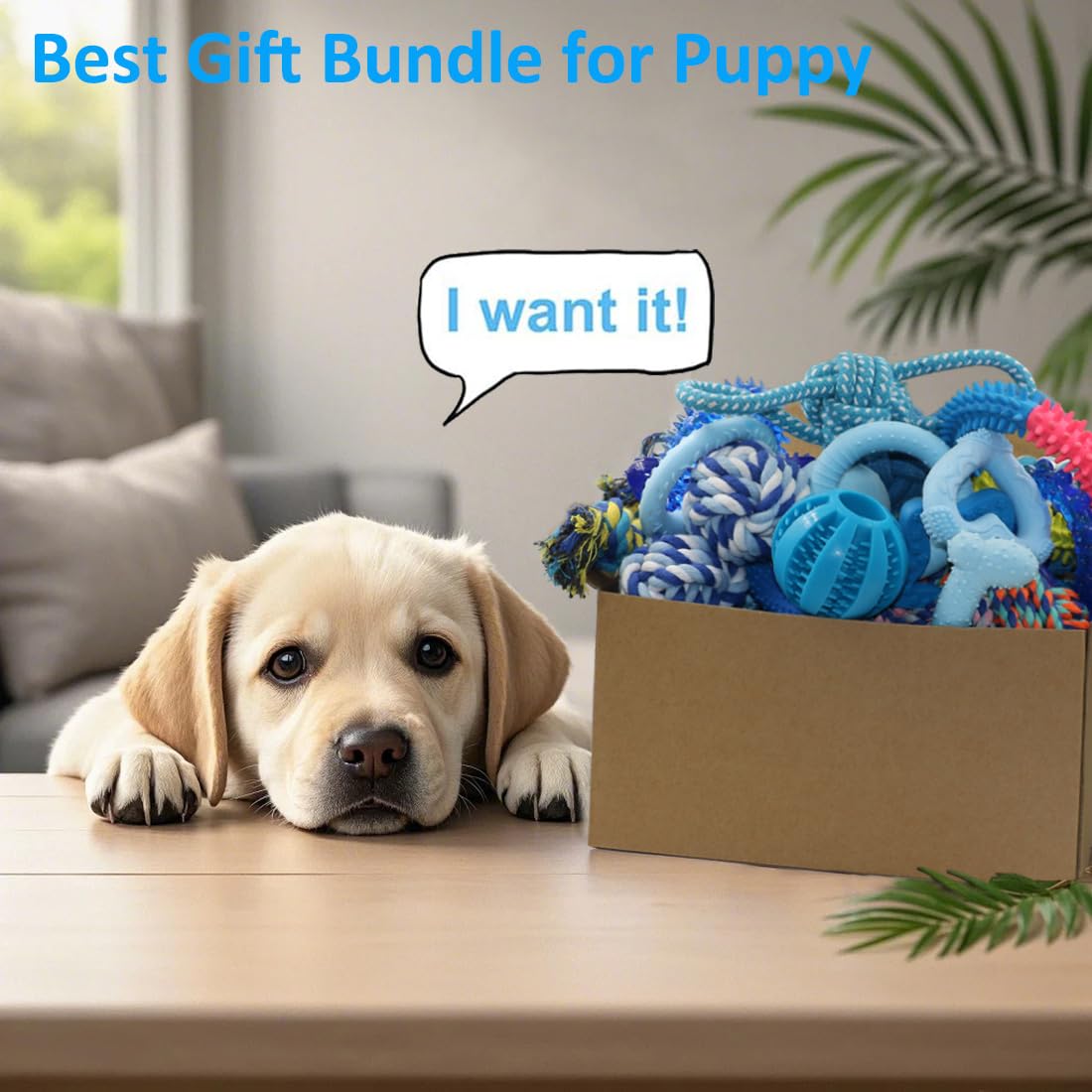Beiker 20 Pack Dog Toys