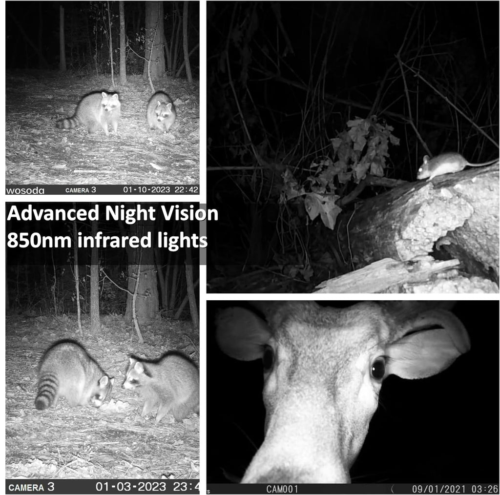 WOSODA 2 Pack Trail Cameras with Night Vision Motion Activated Waterproof,30MP Game Camera,1080P HD Trail Cam with SD Card for Wildlife Monitoring,Outdoor Scouting & Security