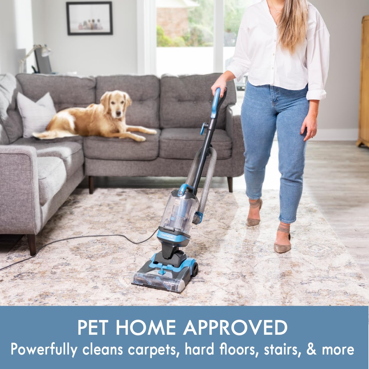 Kenmore Bagless Upright Vacuum Carpet Cleaner with HEPA Filter for Home