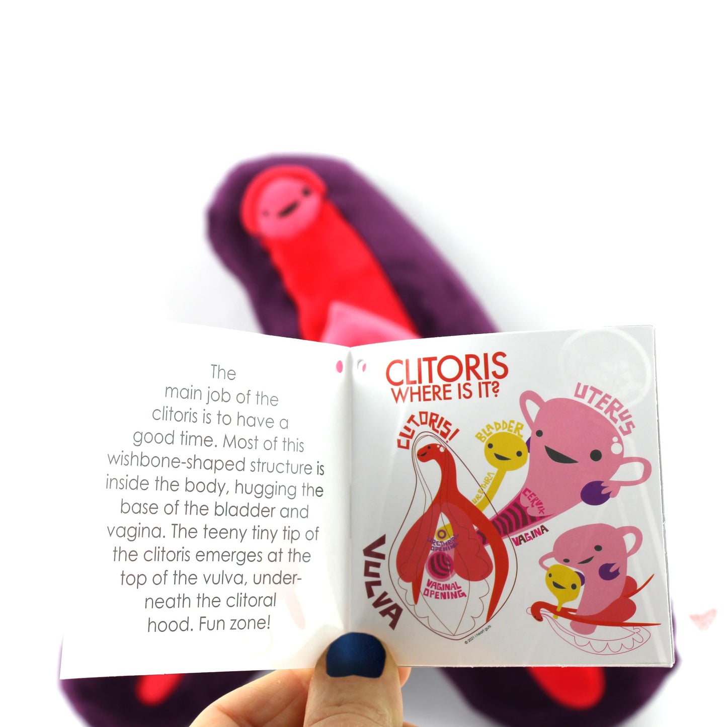 I Heart Guts Clitoris Plush - 11" Cute Educational Organ Toy for Sexual Health & Education - Funny Get Well Recovery Gift for OBGYN Nurse Patients & Medical Student STEM Anatomy Plushie