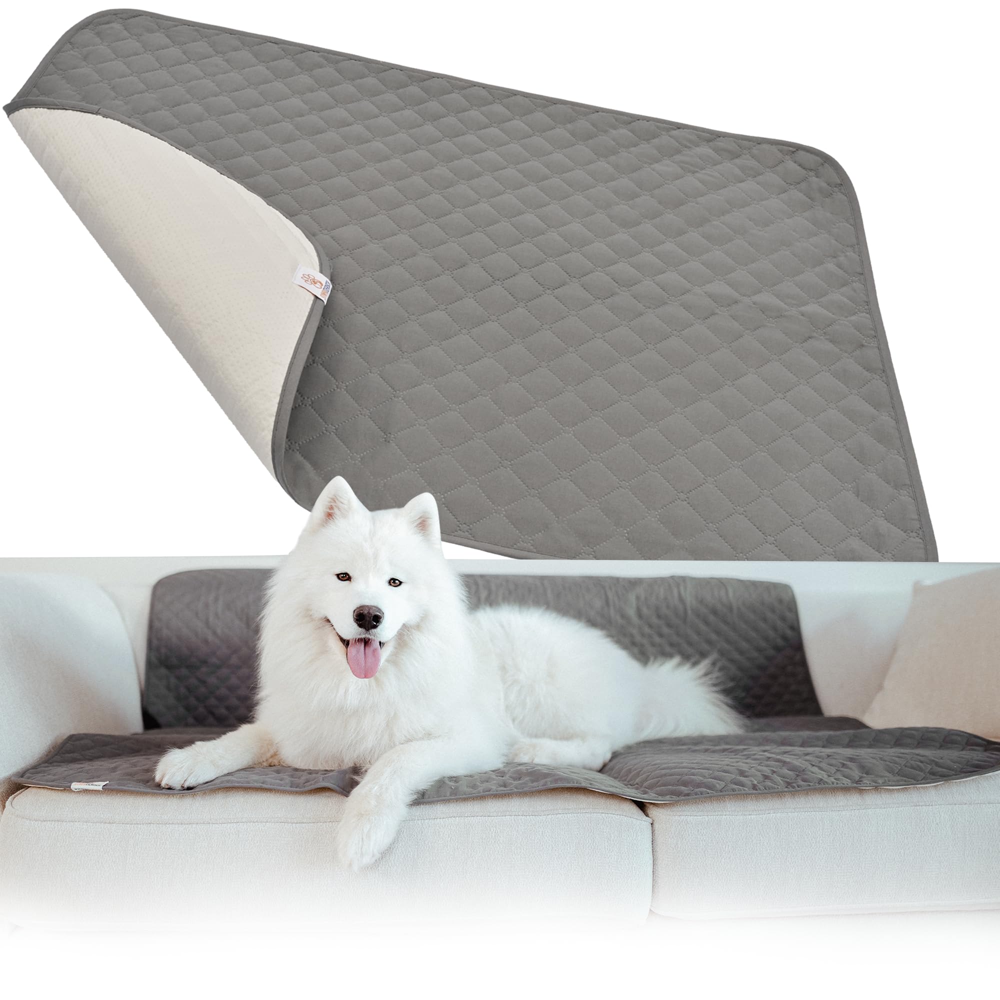 SYMPETIC Pinsonic Dog Blanket