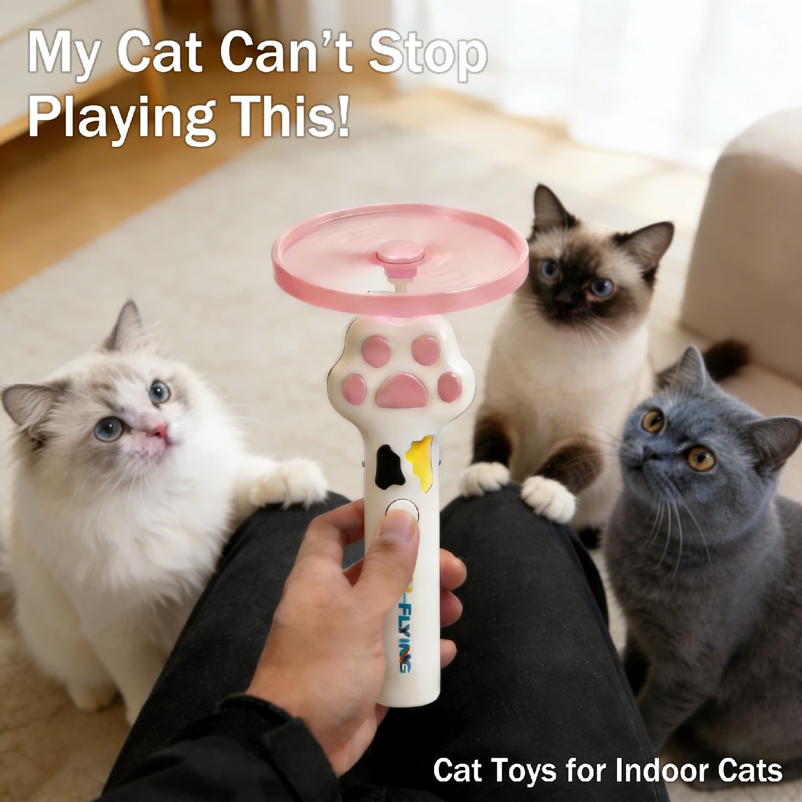 PDVMWPJ Cat Fetch Toy