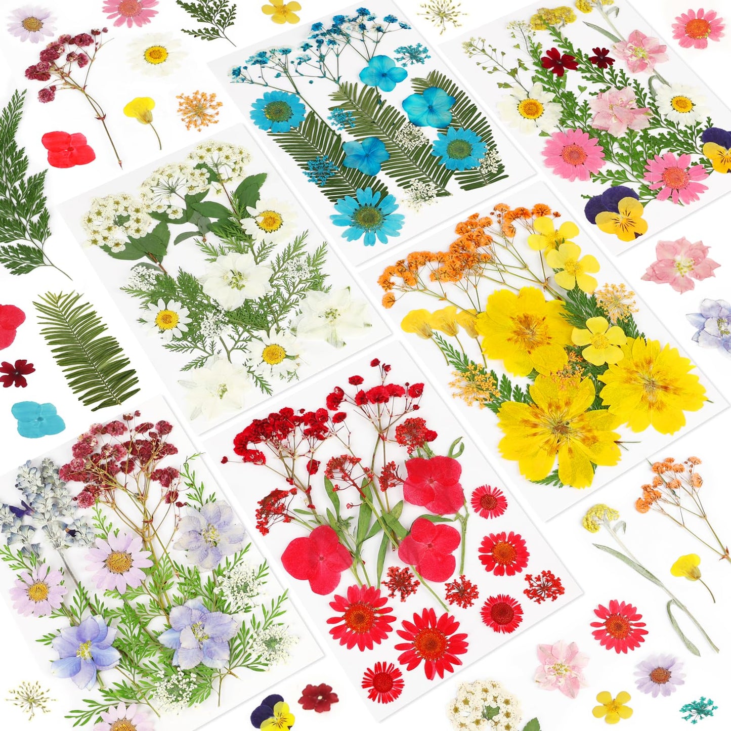 Dried Pressed Flowers for Resin-20260303