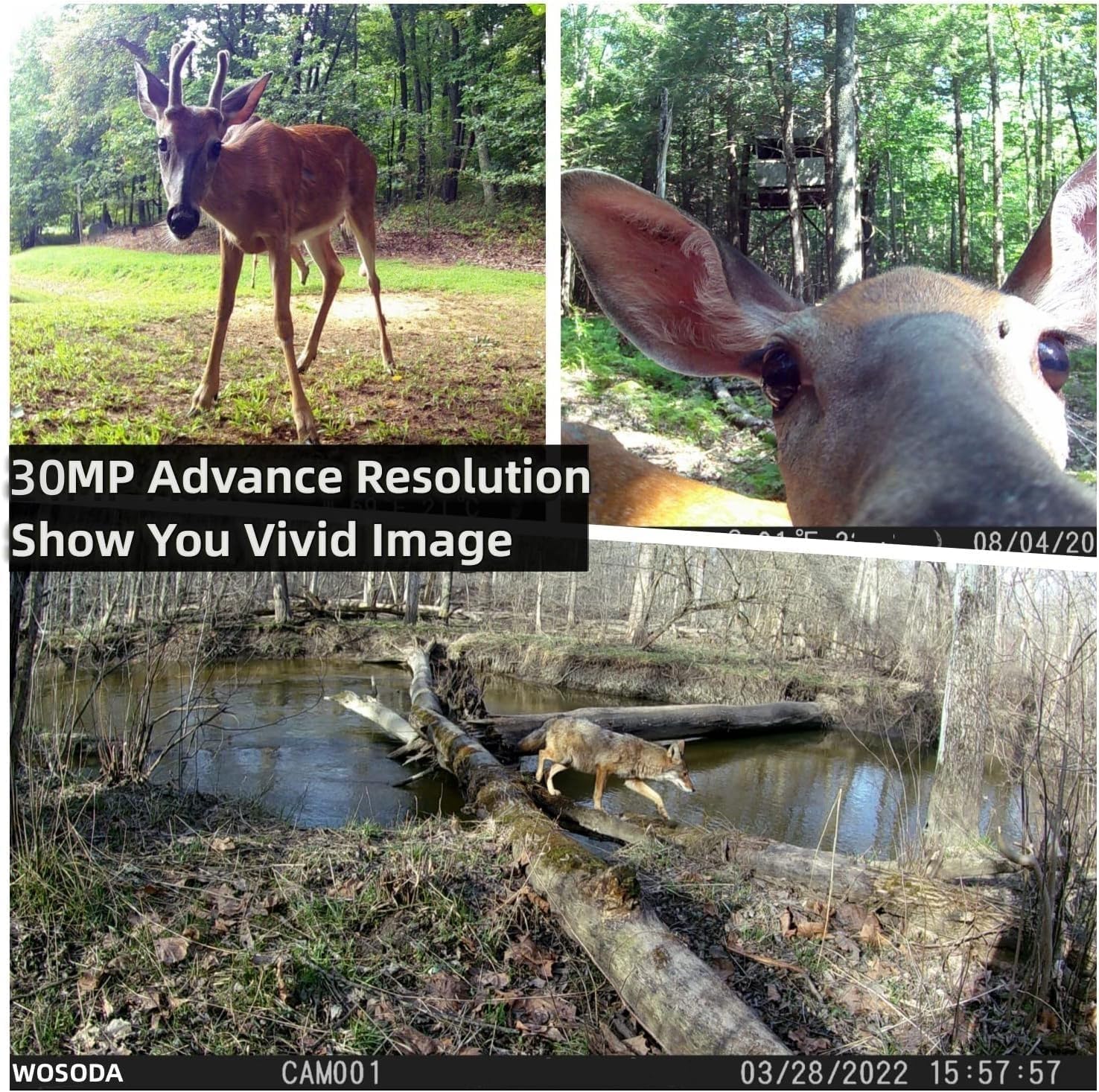 WOSODA 2 Pack Trail Cameras with Night Vision Motion Activated Waterproof,30MP Game Camera,1080P HD Trail Cam with SD Card for Wildlife Monitoring,Outdoor Scouting & Security