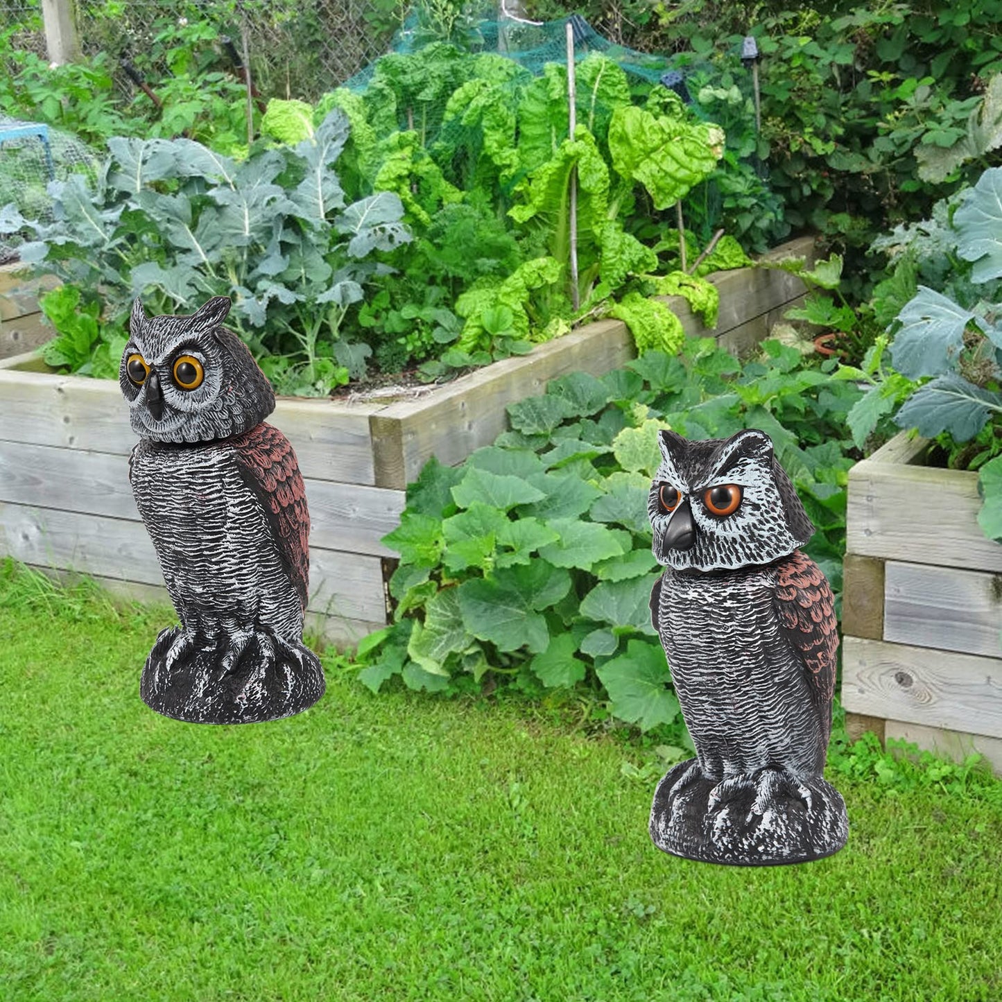 Hedoc Fake Owl Decoys to Scare Birds Away from Gardens and Patios