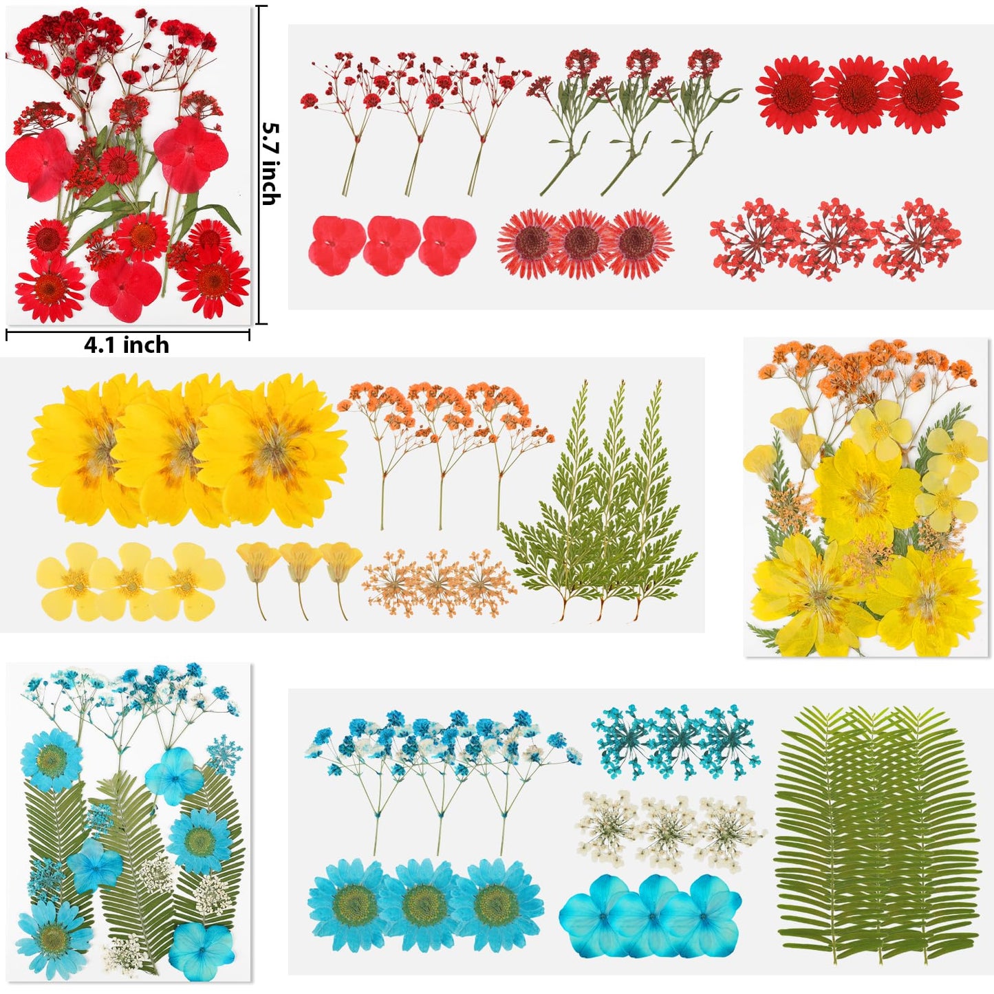 Dried Pressed Flowers for Resin-20260303