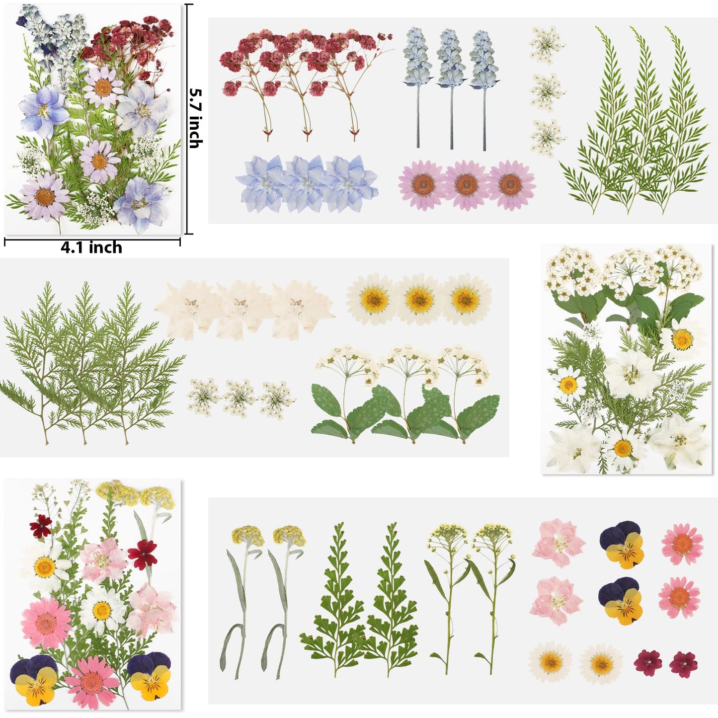 Dried Pressed Flowers for Resin-20260303