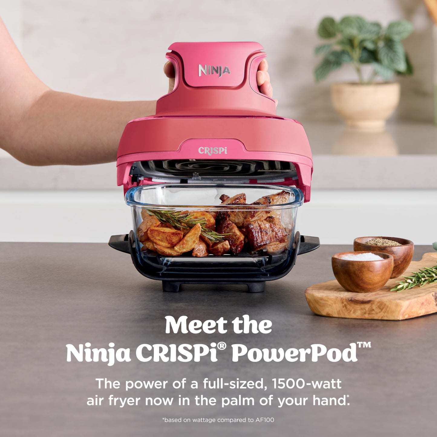 Ninja Crispi Air Fryer