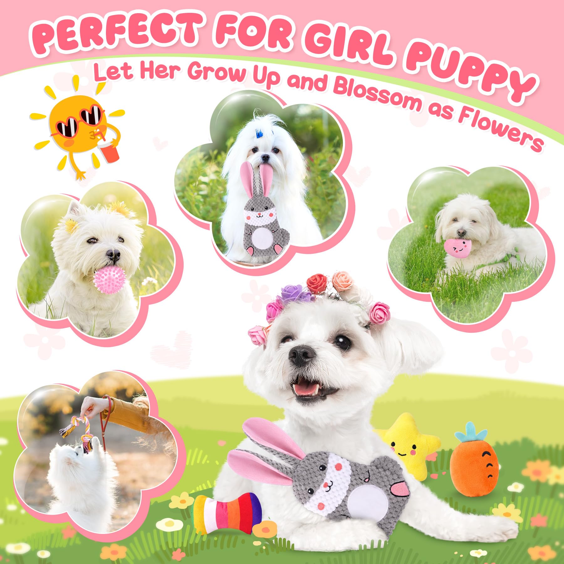 Zeaxuie Luxury Dog Chew Toys for Puppy, Dog Toys with Ropes, Treat Ball and Squeaky Puppy Toys for Teething Small Dogs
