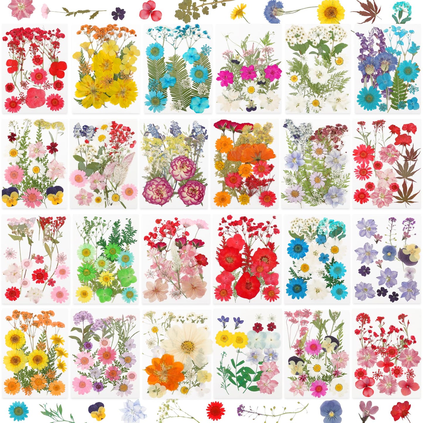Dried Pressed Flowers for Resin-20260303