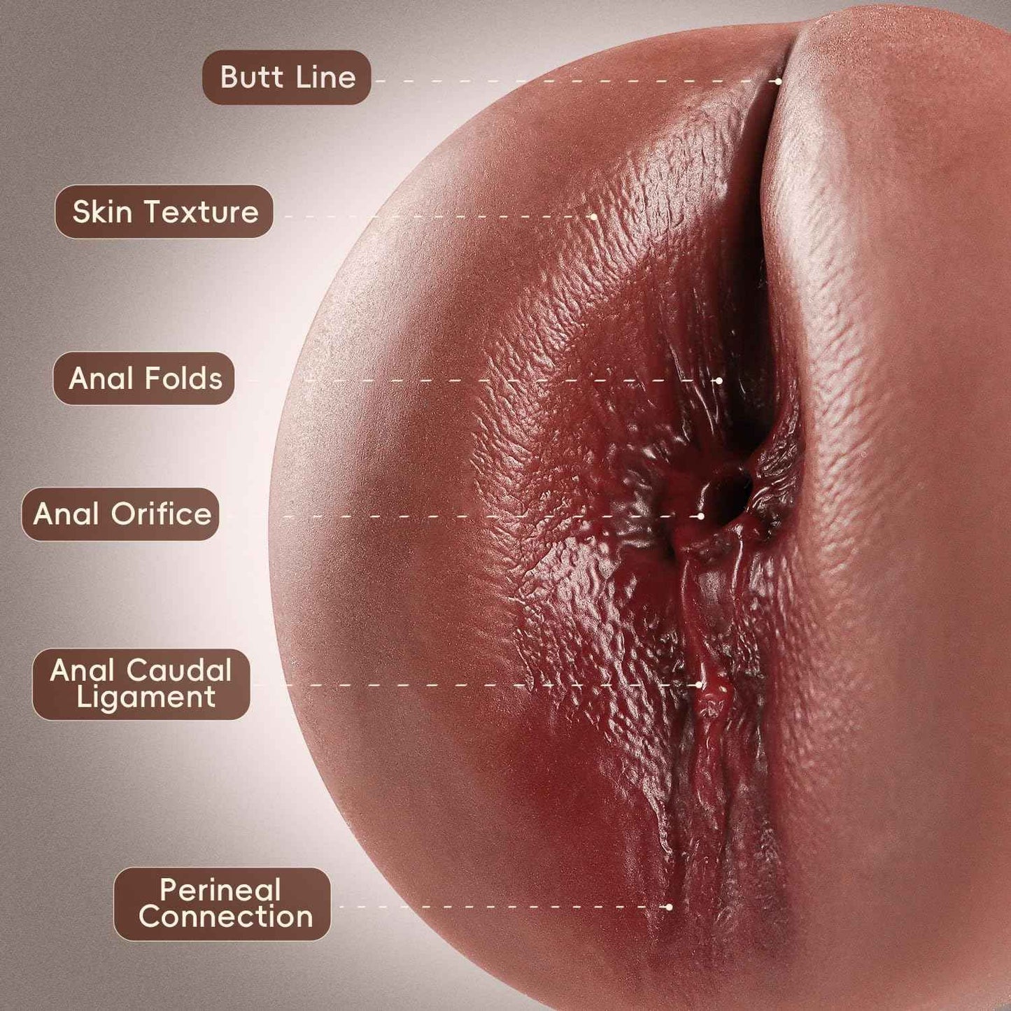 Anal Male Masturbator Realistic Pocket Pussy Vagina Butt Textured with 7.5in Depth Soft and Tighten Anus Fleshy Texture, Penis Training Masturbators Sex Machine Ass Toy for Men (Brown)