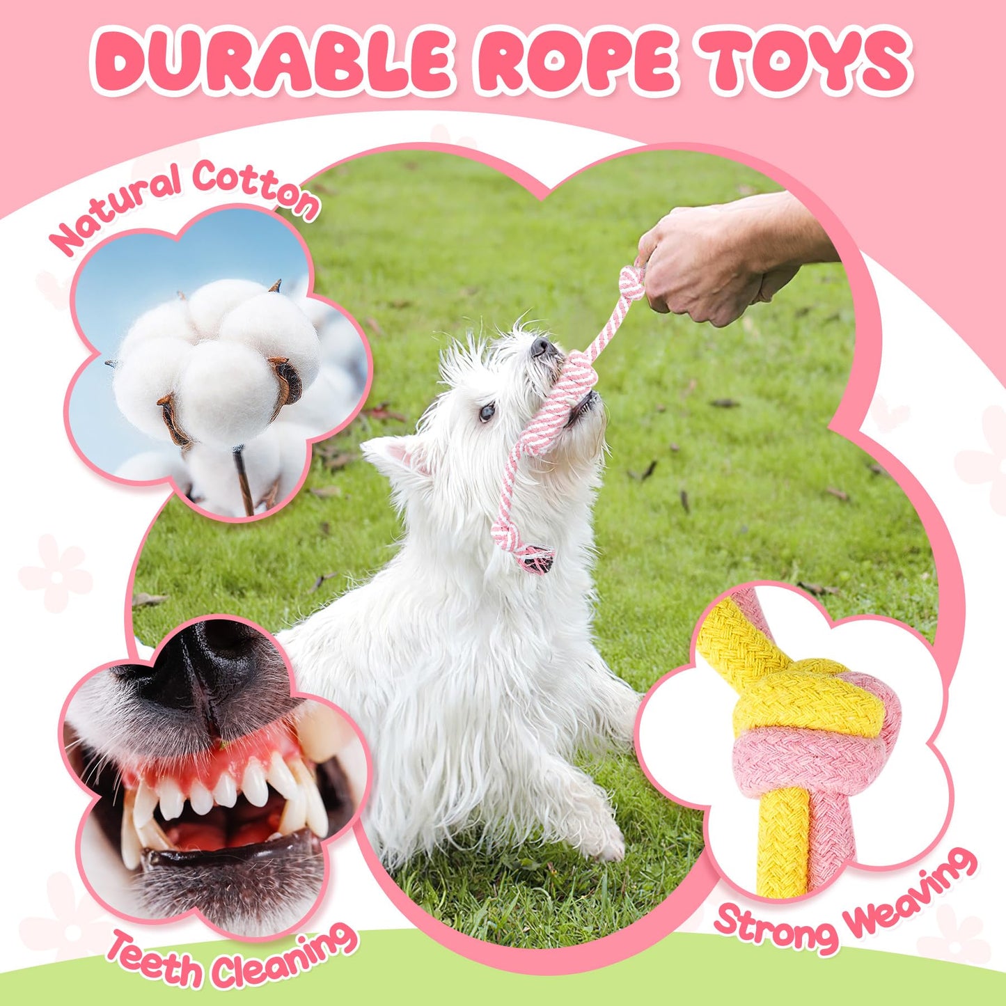 Zeaxuie Luxury Dog Chew Toys for Puppy, Dog Toys with Ropes, Treat Ball and Squeaky Puppy Toys for Teething Small Dogs