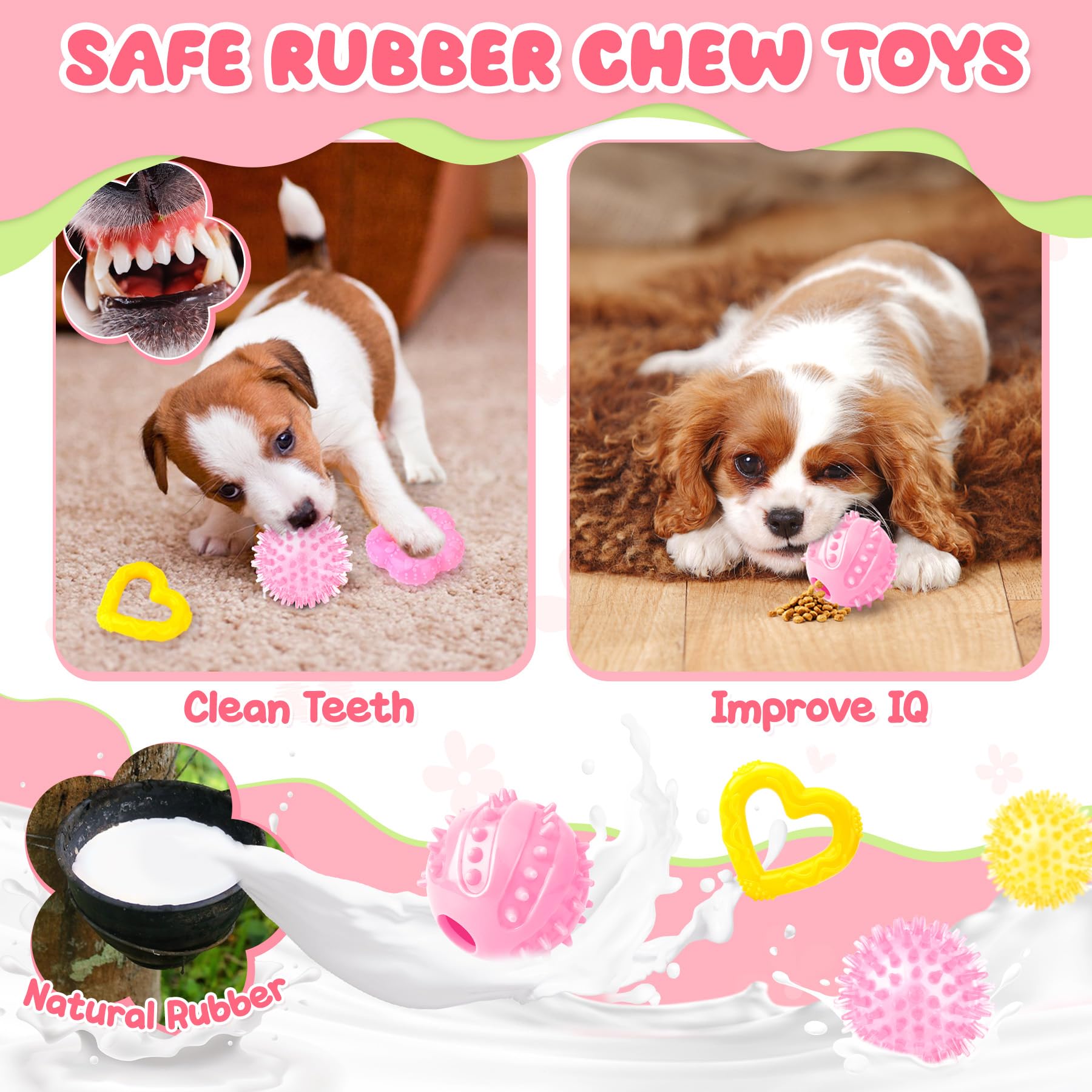 Zeaxuie Luxury Dog Chew Toys for Puppy, Dog Toys with Ropes, Treat Ball and Squeaky Puppy Toys for Teething Small Dogs