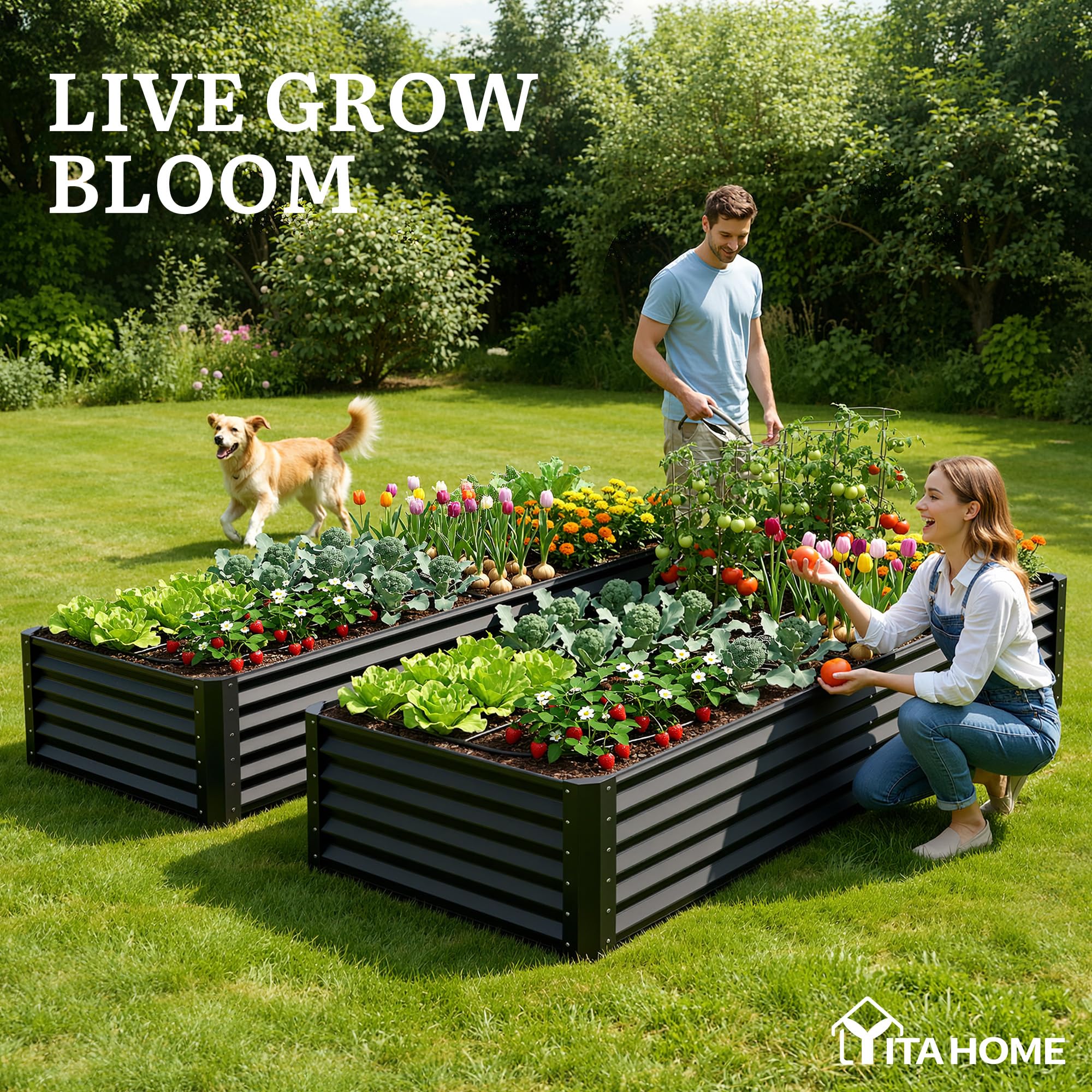 YITAHOME Raised Garden Bed Kit with Gloves, Ground Nails, Support Rod-1